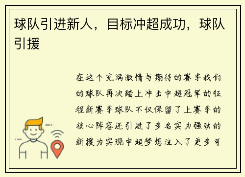 球队引进新人，目标冲超成功，球队引援