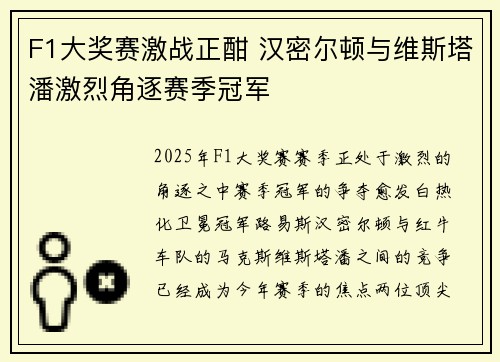 F1大奖赛激战正酣 汉密尔顿与维斯塔潘激烈角逐赛季冠军