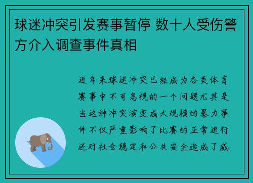 球迷冲突引发赛事暂停 数十人受伤警方介入调查事件真相