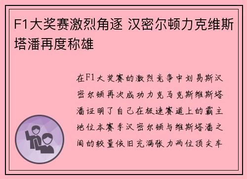F1大奖赛激烈角逐 汉密尔顿力克维斯塔潘再度称雄