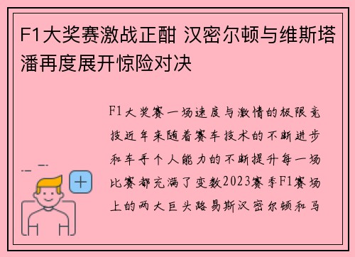 F1大奖赛激战正酣 汉密尔顿与维斯塔潘再度展开惊险对决